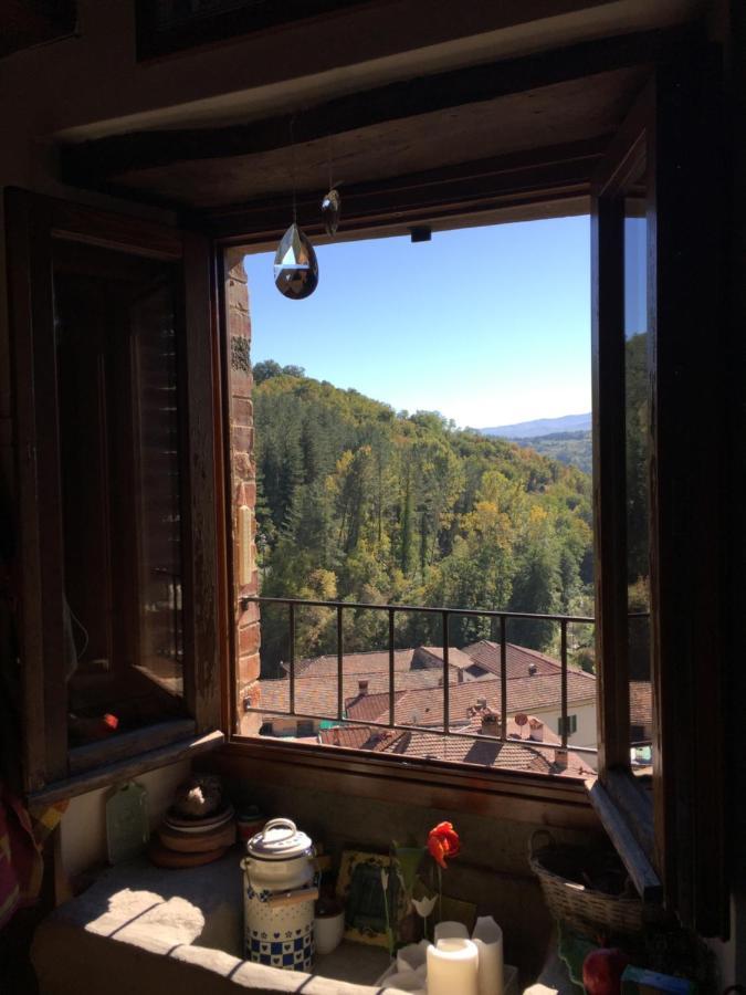 Castello Di Urbech Διαμέρισμα Pratovecchio Εξωτερικό φωτογραφία