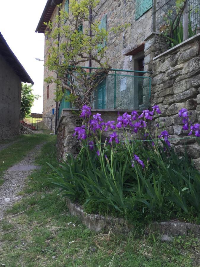 Castello Di Urbech Διαμέρισμα Pratovecchio Εξωτερικό φωτογραφία